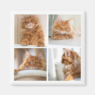 Einfache Grid Collage 4 Vier Fotos Magnet