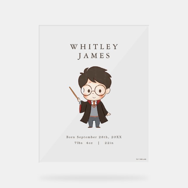 Einfache Harry Potter Kinderdusche Acrylschild (Vorderseite)