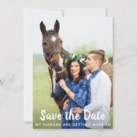 Einfache Hochzeit von Foto Pet Horse