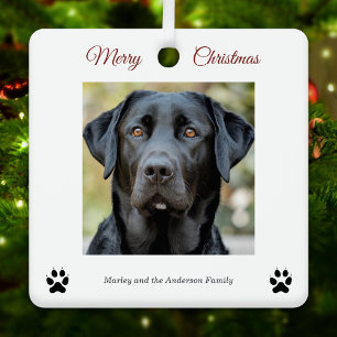Einfache Hunde Foto Frohe Weihnachten Weiß Ornament Aus Metall