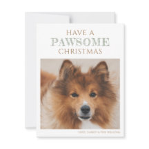 Einfache Hunde Foto Weihnachtsferien - Flat Card