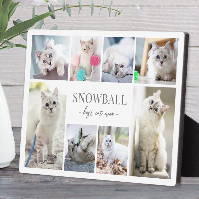 Einfache Katzen-FotoCollage Fotoplatte (Simple Cat Pet Photo Collage plaque )