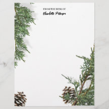 Einfache Kiefernzapfen und Pinienbäume Blätter Wei