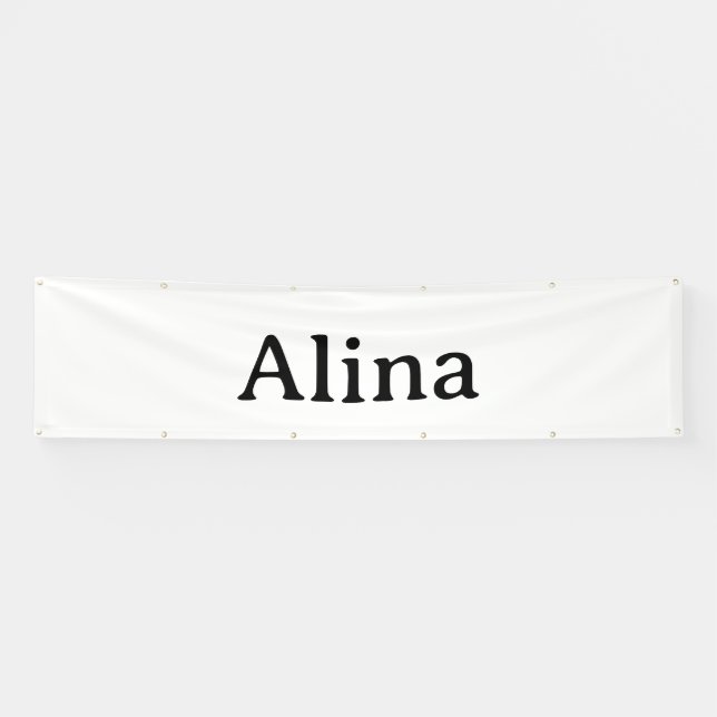 Einfache Markenwerbung 2,5' x 10' Outdoor Banner (Horizontal)