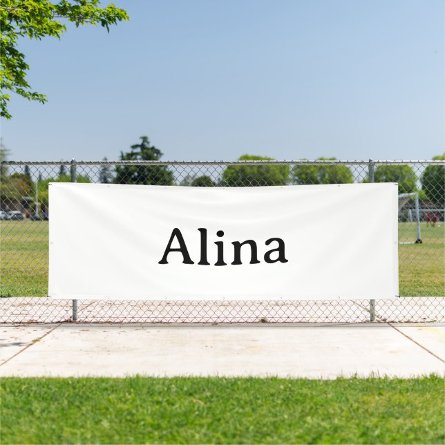 Einfache Markenwerbung 4' x 12' Outdoor Banner (InSitu)