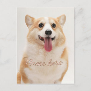 Einfache minimale Fotovorlage für Haustiernamen mi Postkarte