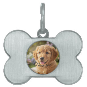 Einfache minimalistische Fotovorlage für Hund Katz Tiermarke