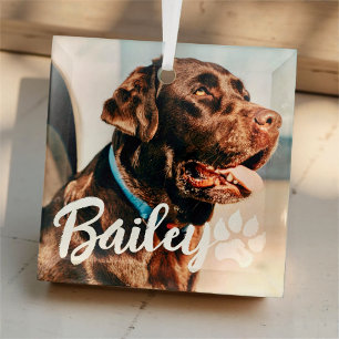 Einfache moderne Coole Typografie Name und Foto de Ornament Aus Glas