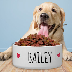 Einfache moderne Dog Cat Pet Bowls Napf