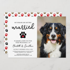 Einfache moderne Foto Dog Lover Pet Wedding Einladung