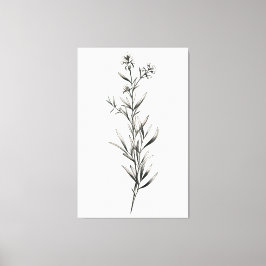 Einfache monochrome Rosemary Sketch Leinwanddruck