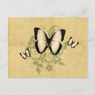 Einfache Postkarte des Schmetterlings