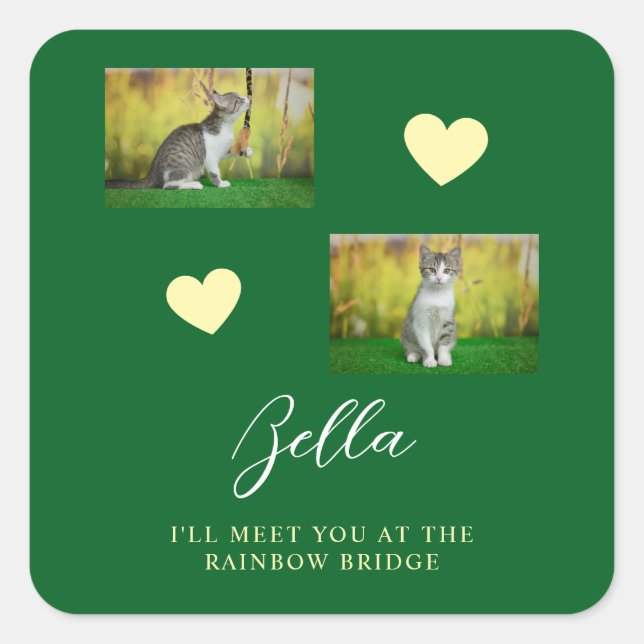 Einfache Rainbow Bridge Cat Memorial Quadratischer Aufkleber (Vorderseite)