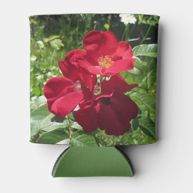 Einfache Rote Rosen Dosenkühler (Vorderseite)