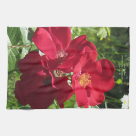 Einfache Rote Rosen Küchentuch