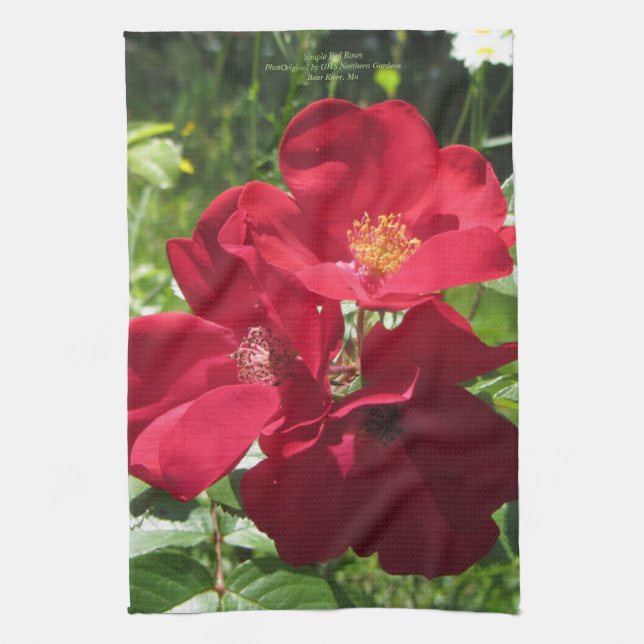 Einfache Rote Rosen Küchentuch (Vertikal)