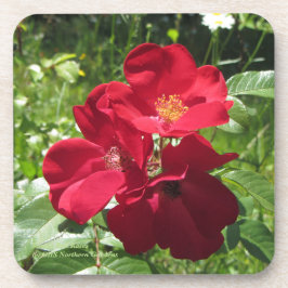 Einfache Rote Rosen Untersetzer