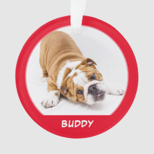 Einfache Roter Hund Foto Name Holidays Keepake Ornament