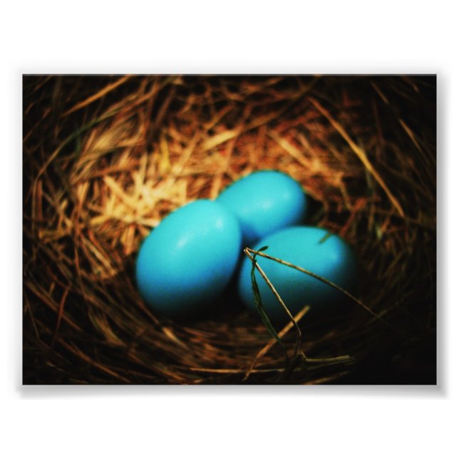 Einfache Schönheit Fotodruck (Vorne)