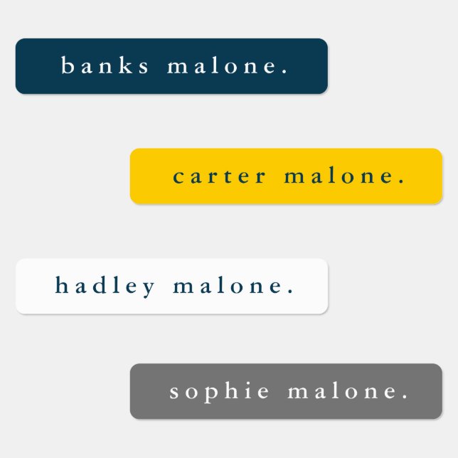 Einfache Schulfarben Wassersicherer Name Etiketten (Gruppe)