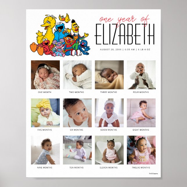 Einfache Sesamstraße Ein Jahr von 12 Monaten Poster (Vorne)