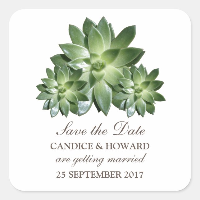 Einfache Sukkulare Save the Date Stickers (Vorderseite)