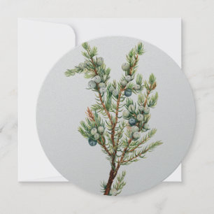 Einfache Vintage Botanische Bergjuniper Einladung