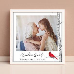 Einfache Wasserfarbe Winter Roter Kardinal Birch T Fotodruck