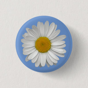 Einfache White Daisy-Blume auf Light Blue Button