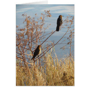 Einfache Wörter der Herz-Filz-Anerkennung