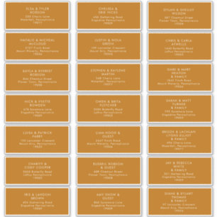 einfache Wüste   Burnt Orange Address Labels