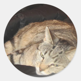 Einfache Zeit für Indigo Runder Aufkleber