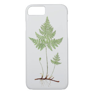 Einfacher Farn, Case-Mate iPhone Hülle
