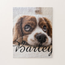 Einfacher moderner eleganter schicker Name und Fot