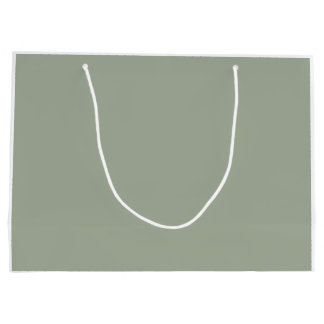 Einfacher weises Grün-Kaktus Große Geschenktüte