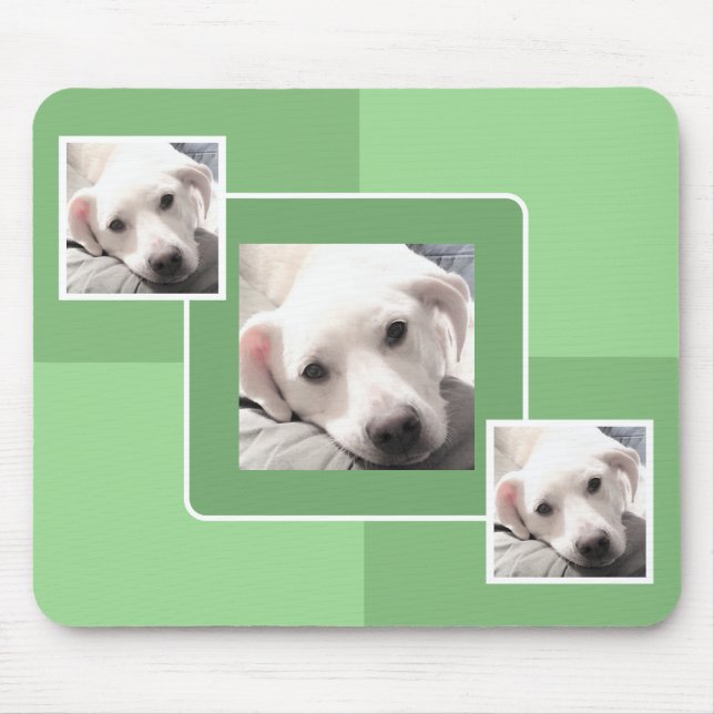 Einfaches Drei-Foto-Modern Square Design Light Gre Mousepad (Vorne)