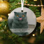 Einfaches Funny 'Definieren Naughty' Pet Foto Keep Ornament Aus Glas<br><div class="desc">Mit dieser einfachen,  modernen Vorlage erstellen Sie einen lustigen Weihnachtsschmuck. Das Design beinhaltet ein Foto Ihres Hundes/Ihrer Katze,  ein weißes Overlay-Banner mit dem Text 'DEFINE NAUGHTY' und dem Namen des Tieres.</div>
