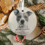 Einfaches Funny 'Definieren Naughty' Pet Foto Keep Ornament Aus Glas<br><div class="desc">Mit dieser einfachen,  modernen Vorlage erstellen Sie einen lustigen Weihnachtsschmuck. Das Design beinhaltet ein Foto Ihres Hundes/Ihrer Katze,  ein weißes Overlay-Banner mit dem Text 'DEFINE NAUGHTY' und dem Namen des Tieres.</div>