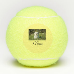 Einfaches Kolorful tier add name foto custom throw Tennisbälle
