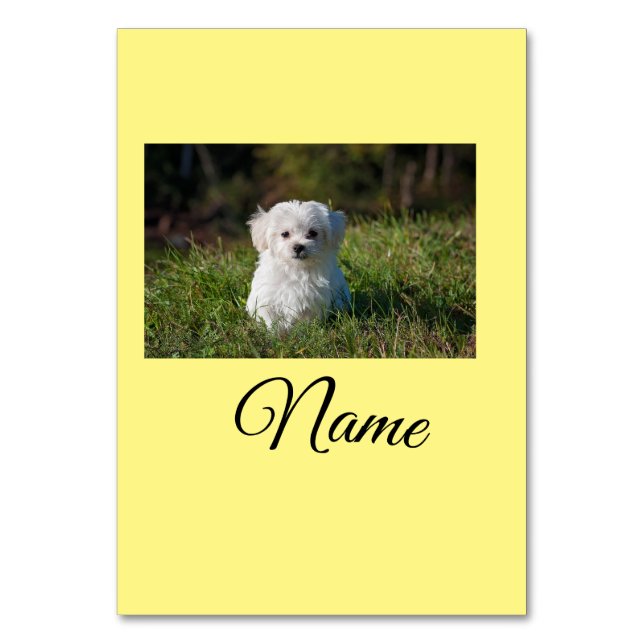 Einfaches Kolorful tier add name foto custom throw Tischnummer (Vorderseite)