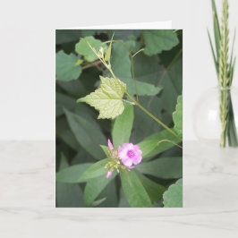 Einfaches Leben ... Ist nicht einfach Blume Zitat Karte