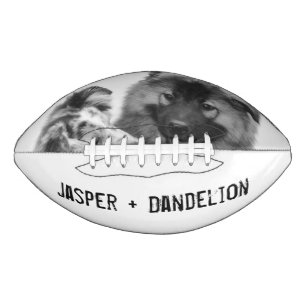 Einfaches, modernes Foto für Haustiere oder Perso Football