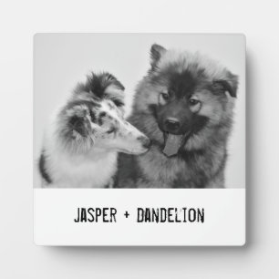 Einfaches, modernes Foto für Haustiere oder Person Fotoplatte