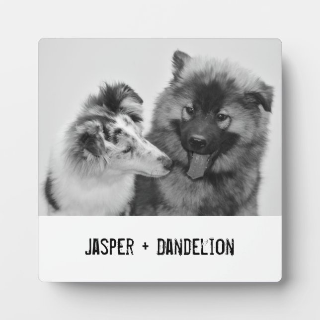 Einfaches, modernes Foto für Haustiere oder Person Fotoplatte (Vorderseite)