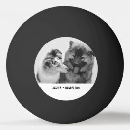 Einfaches, modernes Foto für Haustiere oder Person Tischtennisball