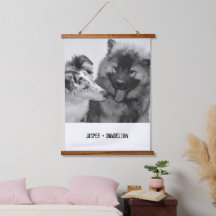 Einfaches, modernes Foto für Haustiere oder Person