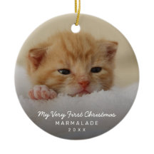 Einfaches modernes Foto Kitten Cat First Christmas