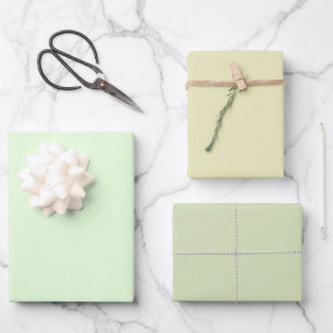 Einfaches Nyanza Blass Gin Grün Töne 3 Farben Geschenkpapier Set