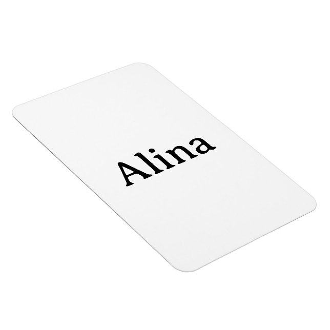 Einfaches professionelles Geschäft 10x15 cm flexib Magnet (Rechte Seite)