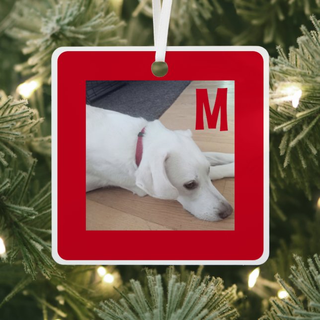 Einfaches Rot-Weiß-Foto des Hundes nach Kundenwuns Ornament Aus Metall (InSitu)